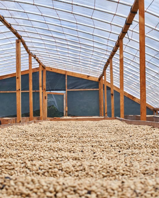 Honduras - Finca El Coyote (Espresso Roast)